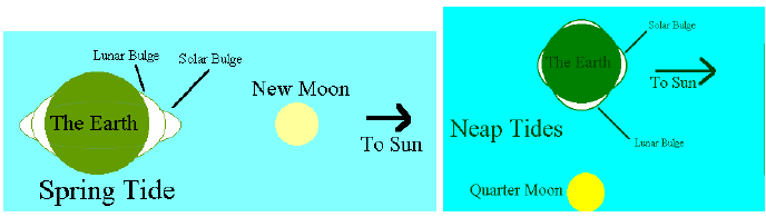 Diagram of Spring and Neap Tides